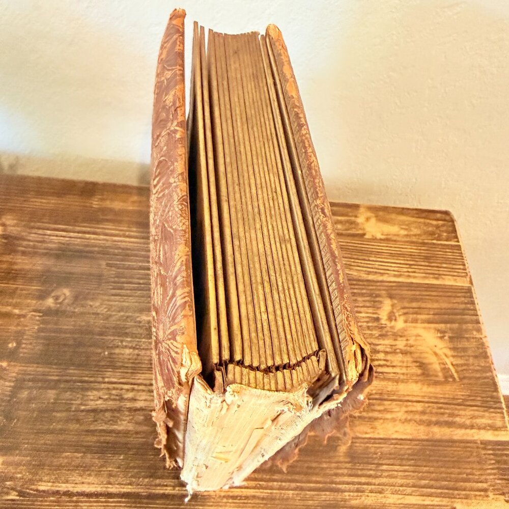 142-Year-Old Victorian Leather Photo Album - Picture 9 of 16